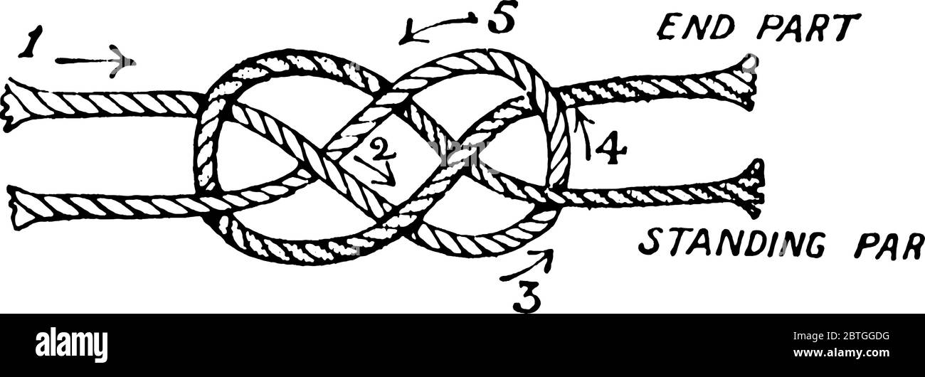 Ropes end Stock Vector Images Alamy