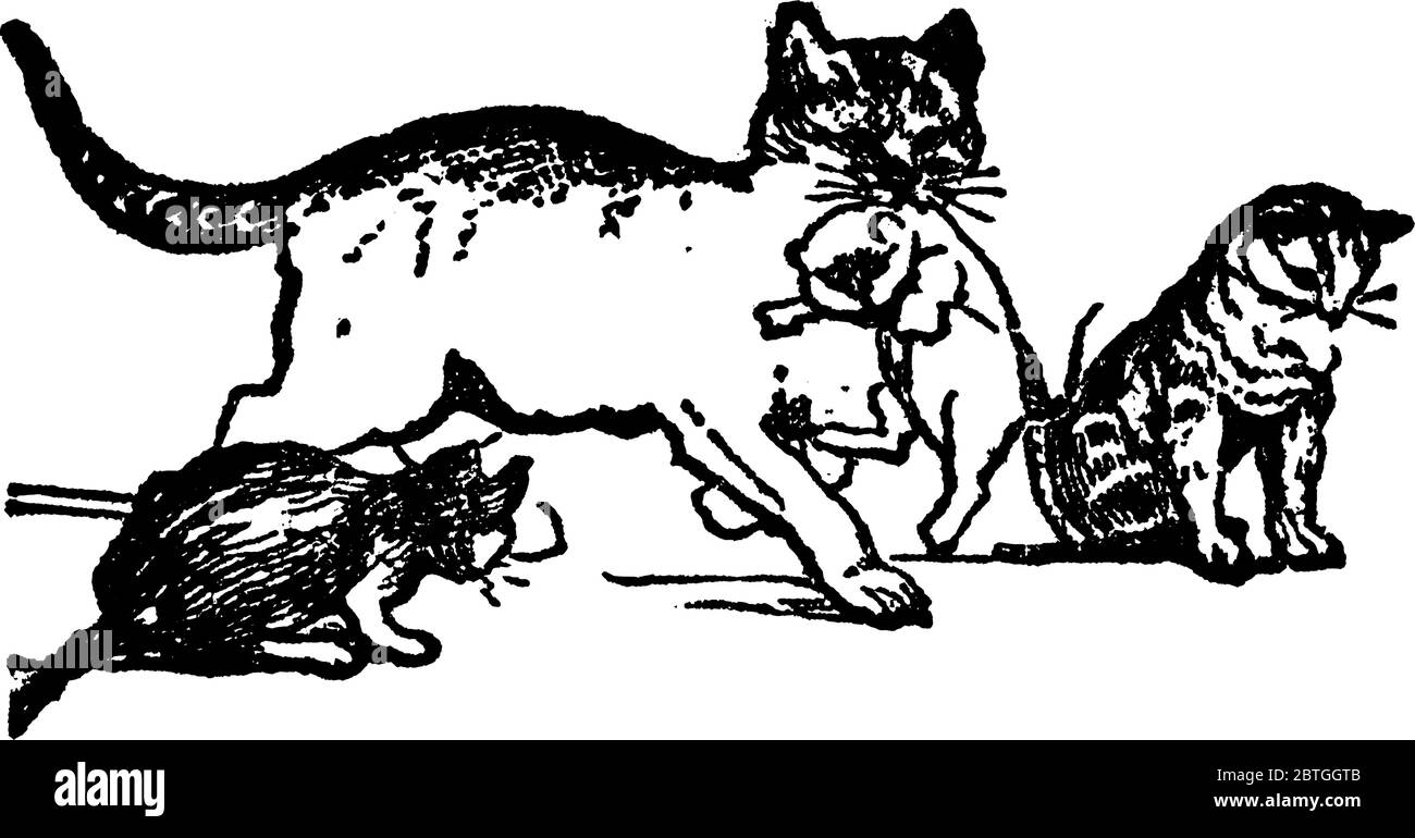 A typical representation of a cat playing with her few kittens, vintage ...