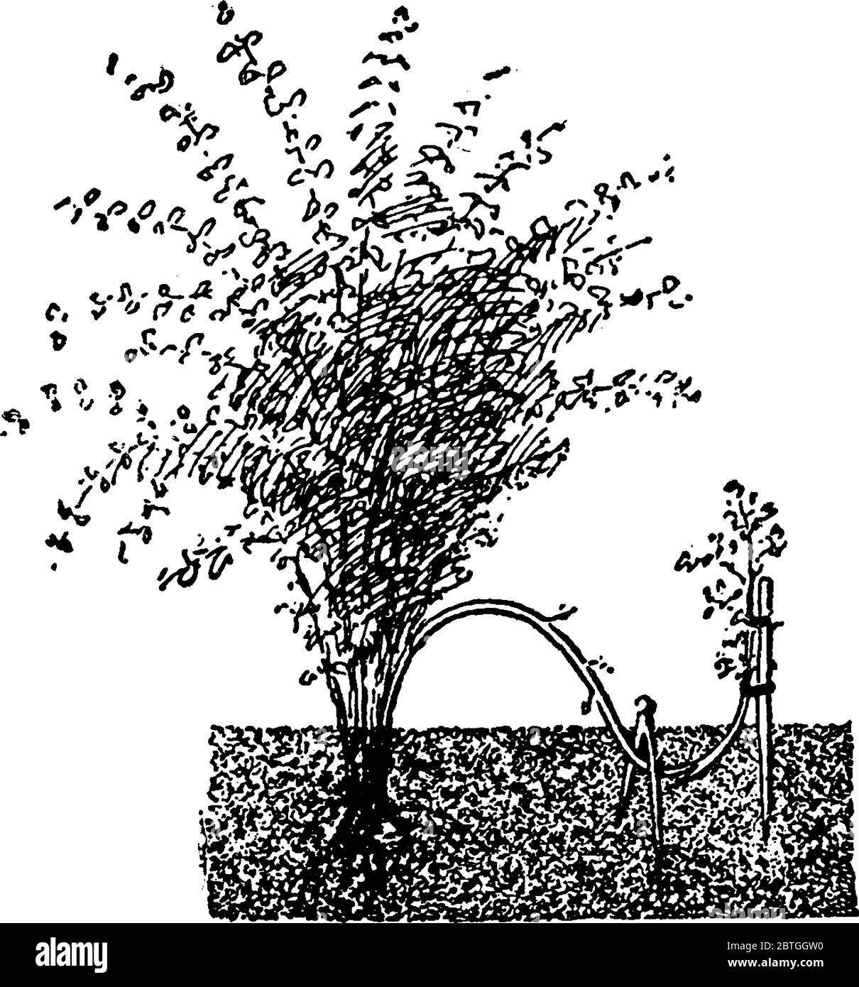 Single hook Stock Vector Images Alamy