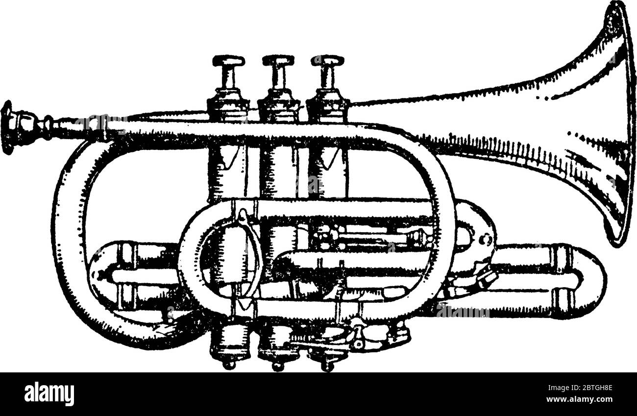 The cornet, a brass instrument very similar to the trumpet, distinguished by its conical bore, compact shape, and mellower tone quality, vintage line Stock Vector