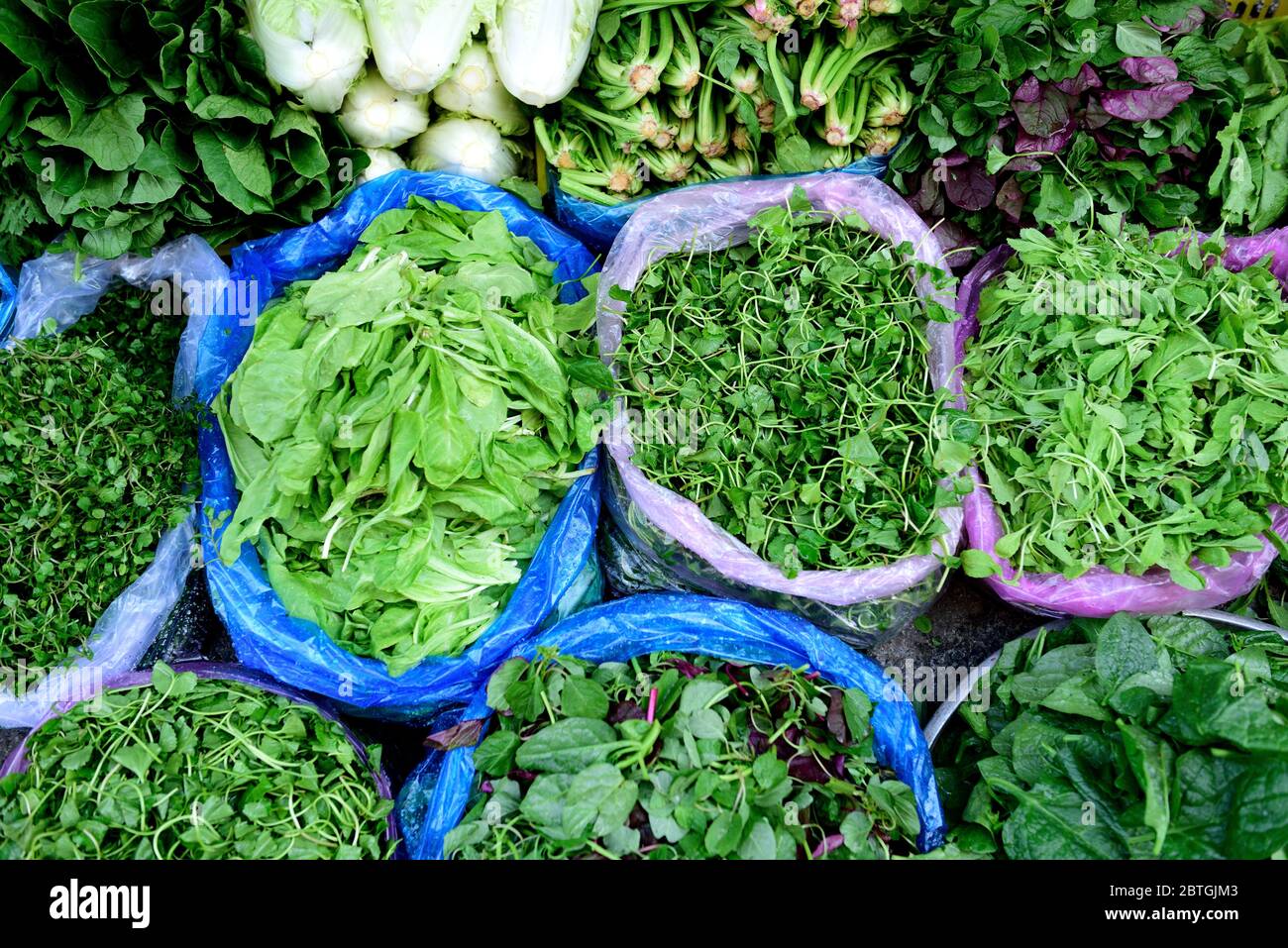 Asian green leafy vegetables hires stock photography and images Alamy