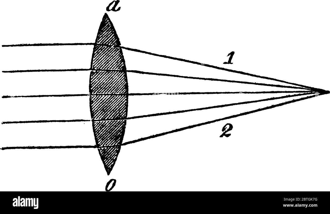 The figure shows the observed results when diverging rays fall on the surface of the same lensand that is according to the degrees of their divergency Stock Vector
