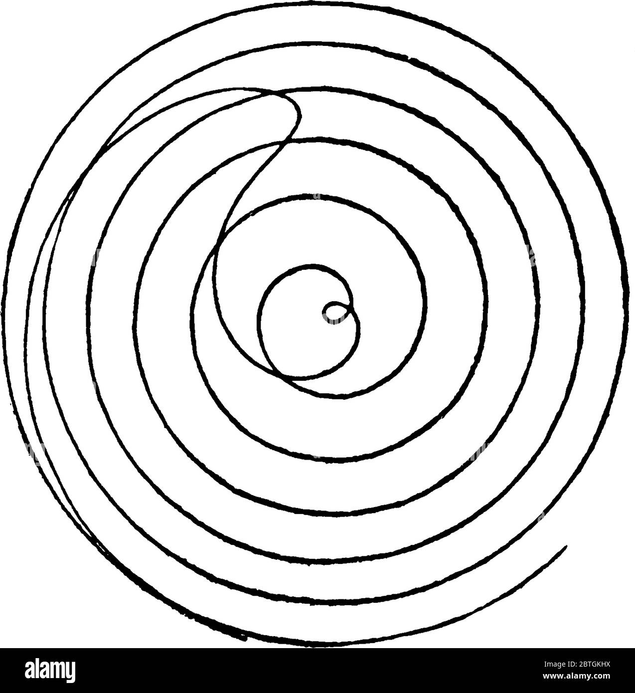 Parabolic spiral hi-res stock photography and images - Alamy