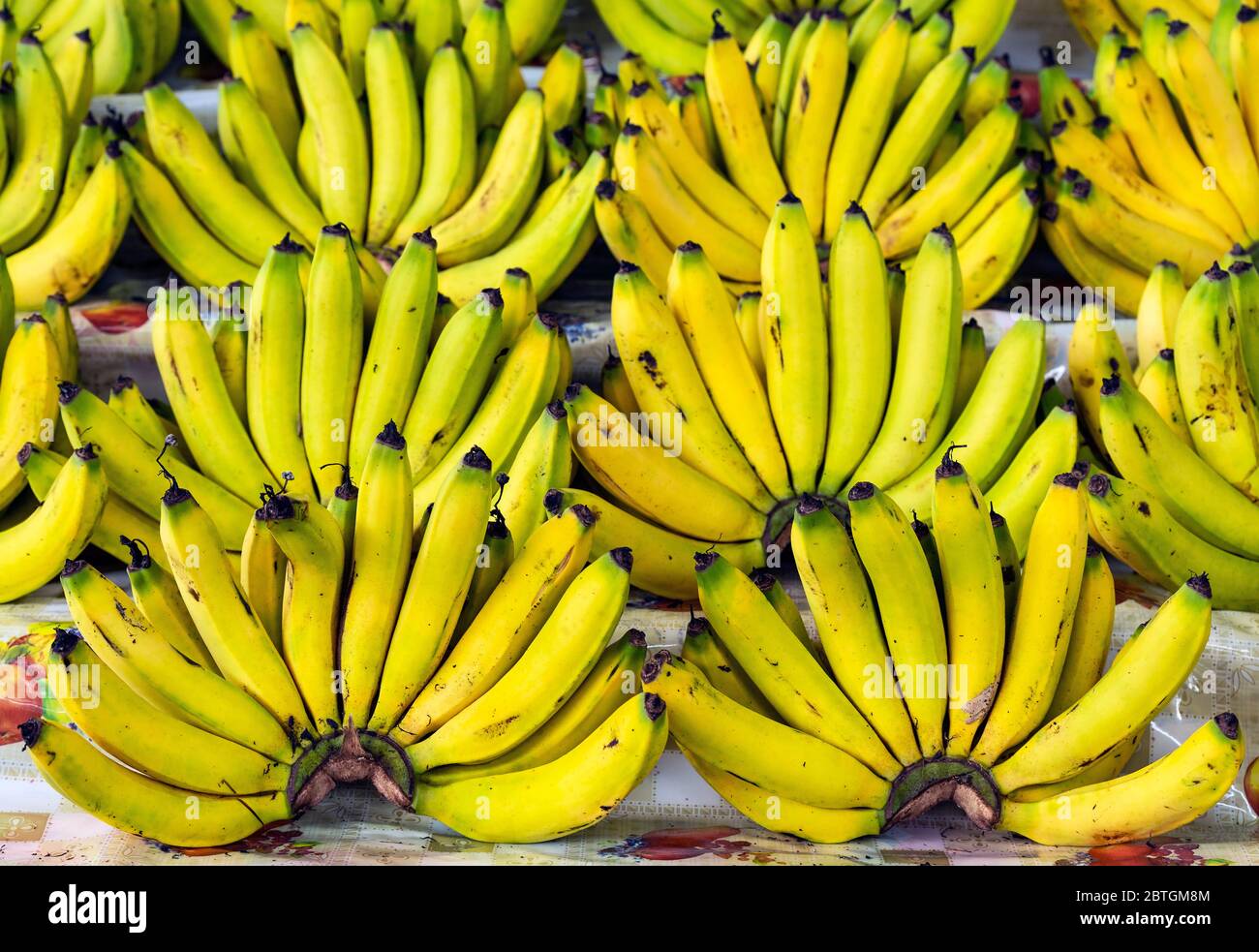 Bananas for sale on a fruit market stall in Quito, Ecuador, the largest
