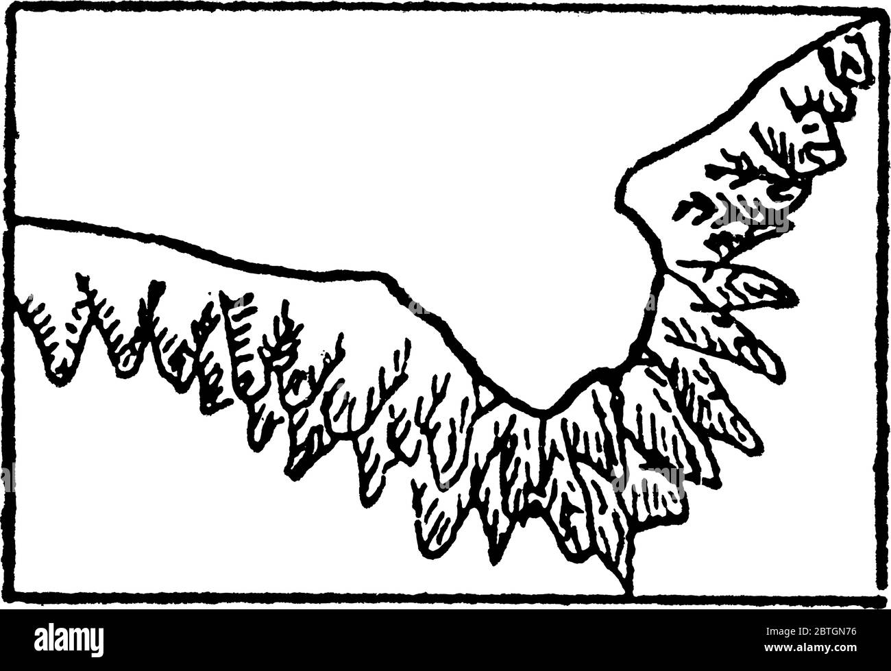 The typical representation of shores and lowwater lines with rocky