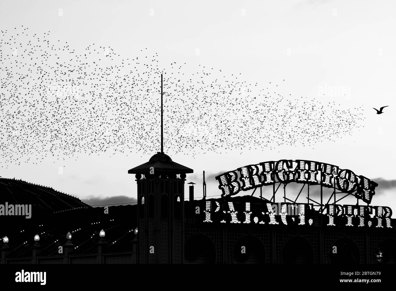 Brighton palace pier and starlings at sunset Stock Photo