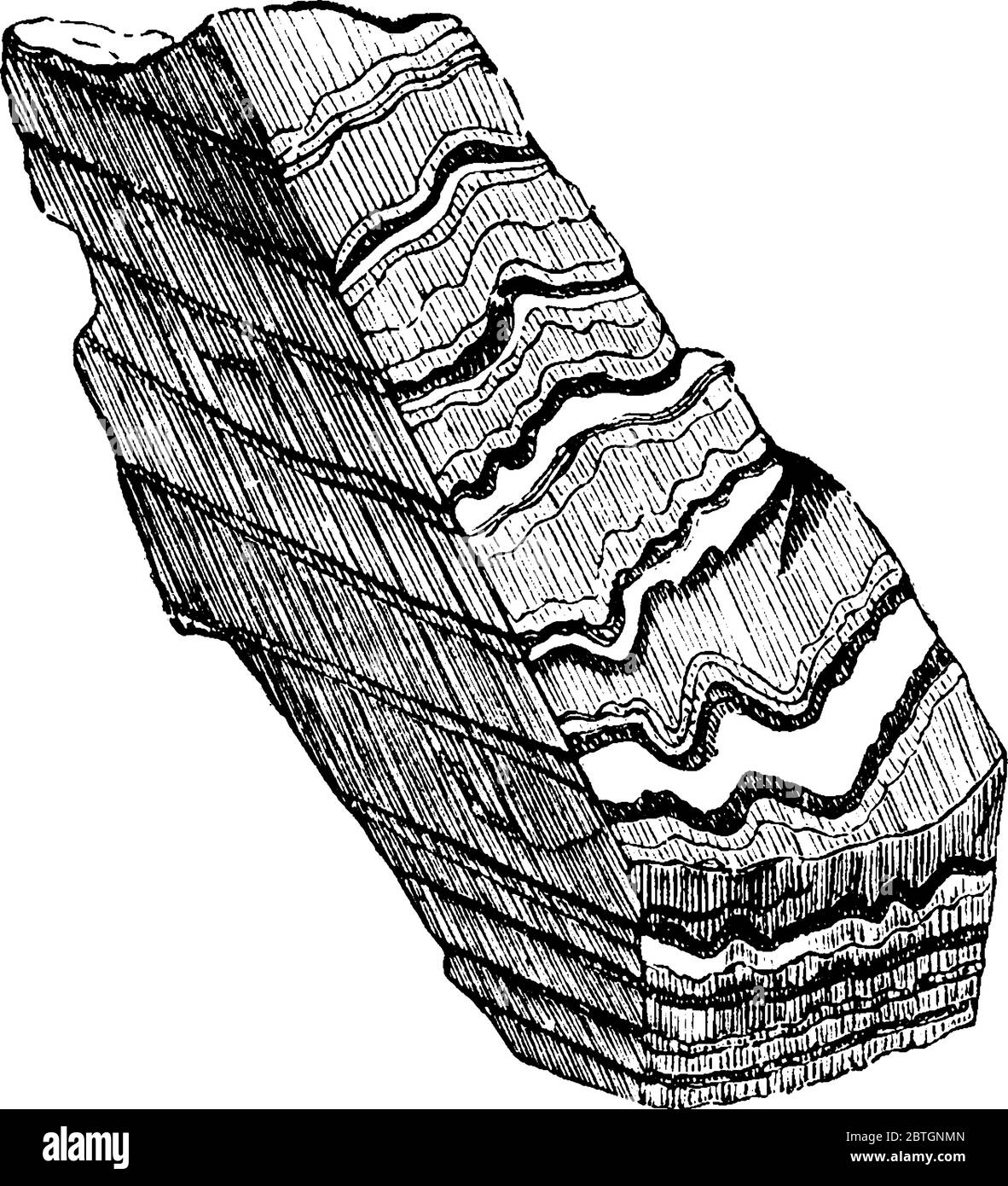 Slaty cleavage, it is a pervasive, parallel layering of fine grained platy minerals (chlorite), vintage line drawing or engraving illustration. Stock Vector