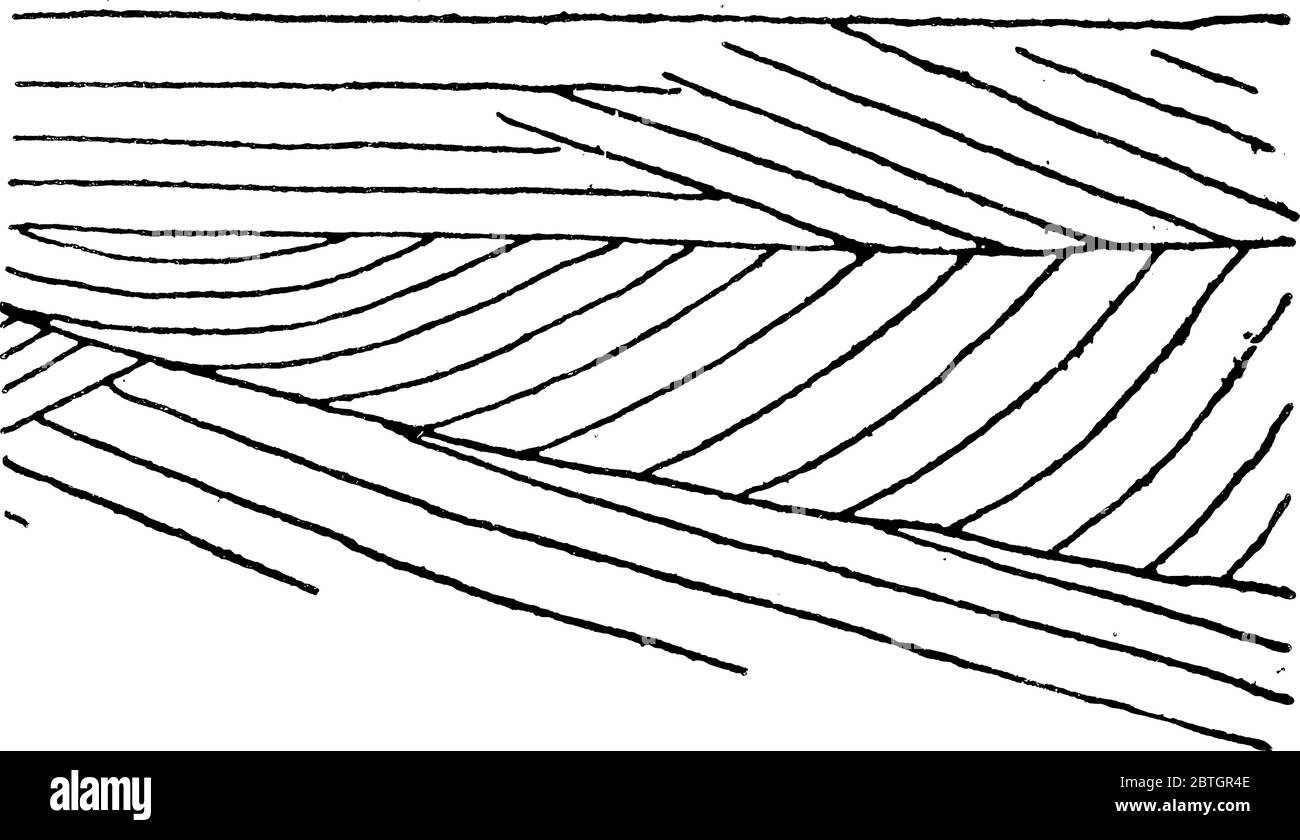 Cross Bedding Diagram