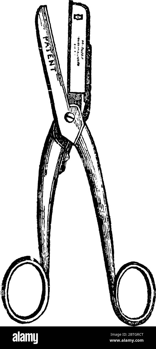 Looks like a scissor and is used to both cut and hold the flower at the