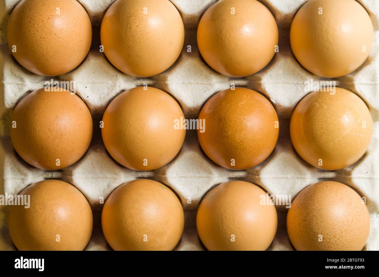 Beautiful fresh brown chicken eggs, closet in egg box. Stock Photo