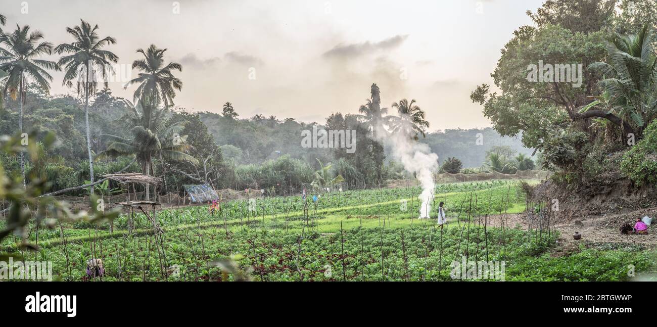 Smoke from a small fire at a farm in India Stock Photo