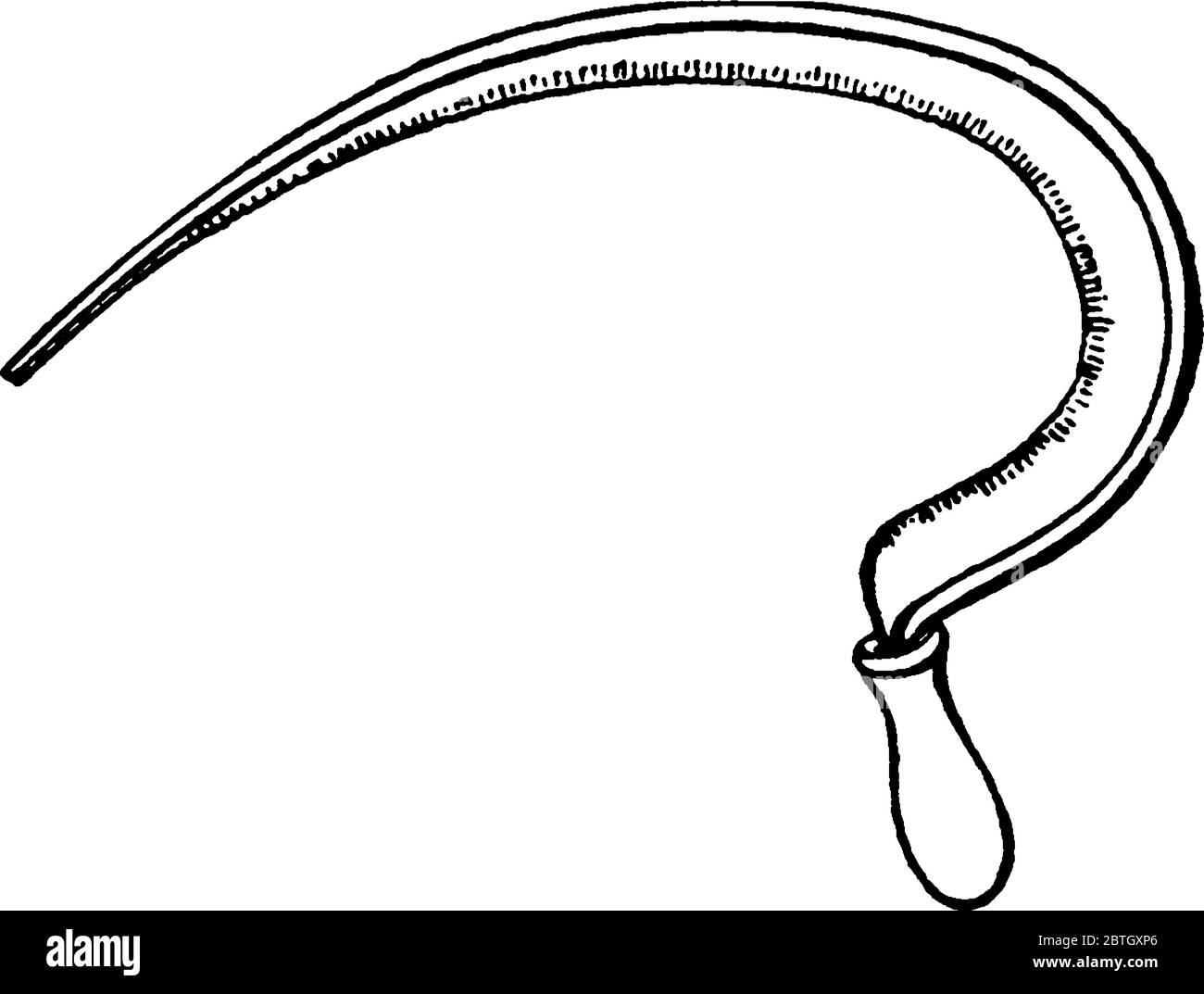 Curved Blade Of Grass High Resolution Stock Photography And Images Alamy