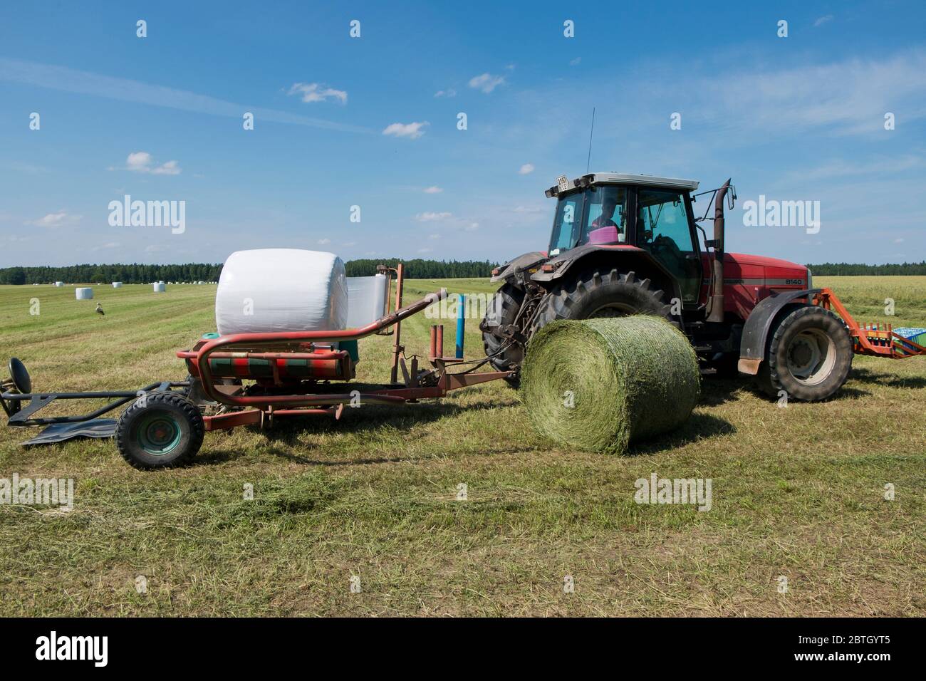 Freshly harvested hay is rolled and automatically  wrapped in white plastic by a tractor. In a field during the summer in rural Lithiania. Stock Photo