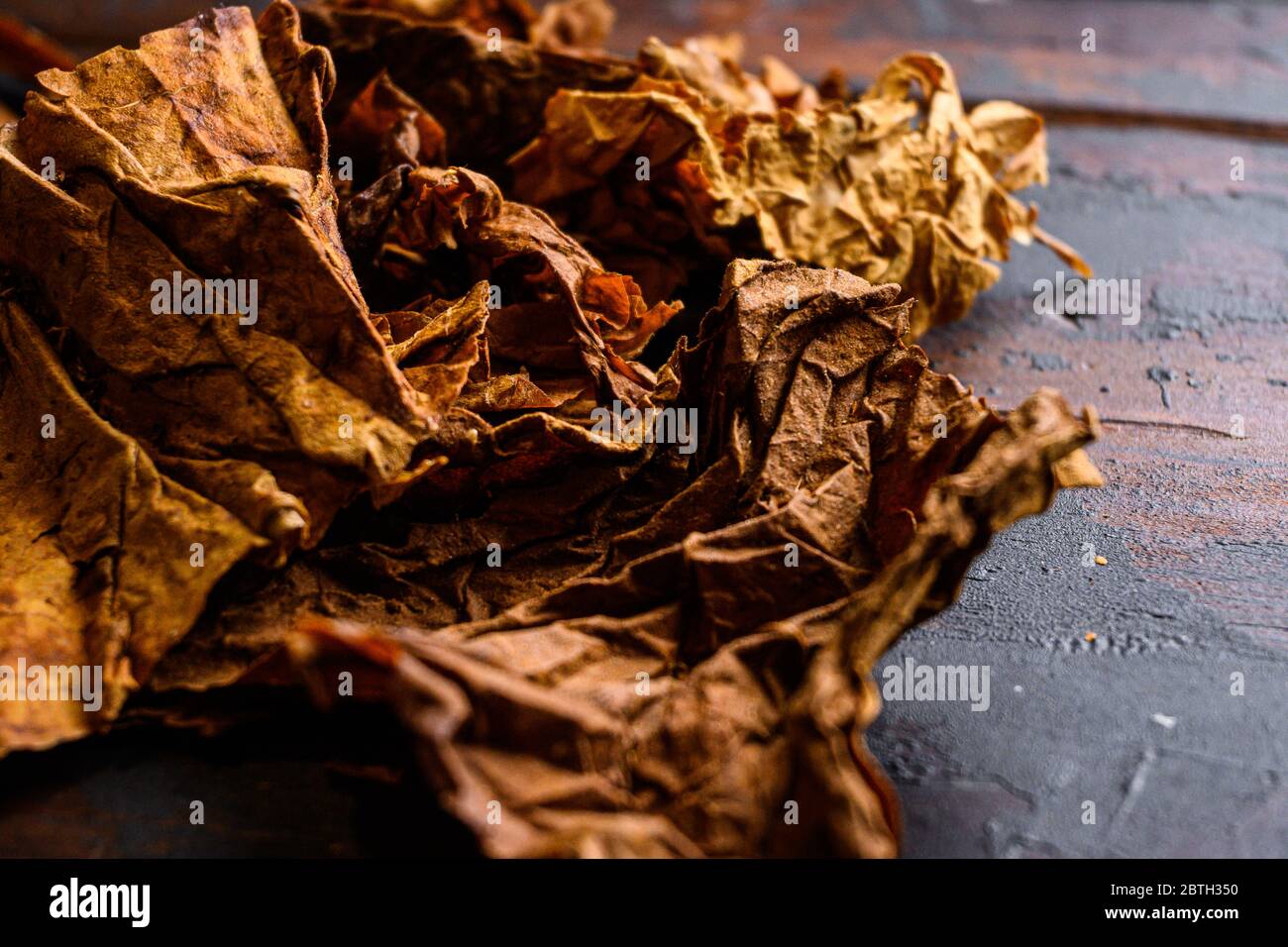 adidas tobacco rivea Adidas Tobacco Rivea adidas tobacco rivea Adidas Tobacco Rivea