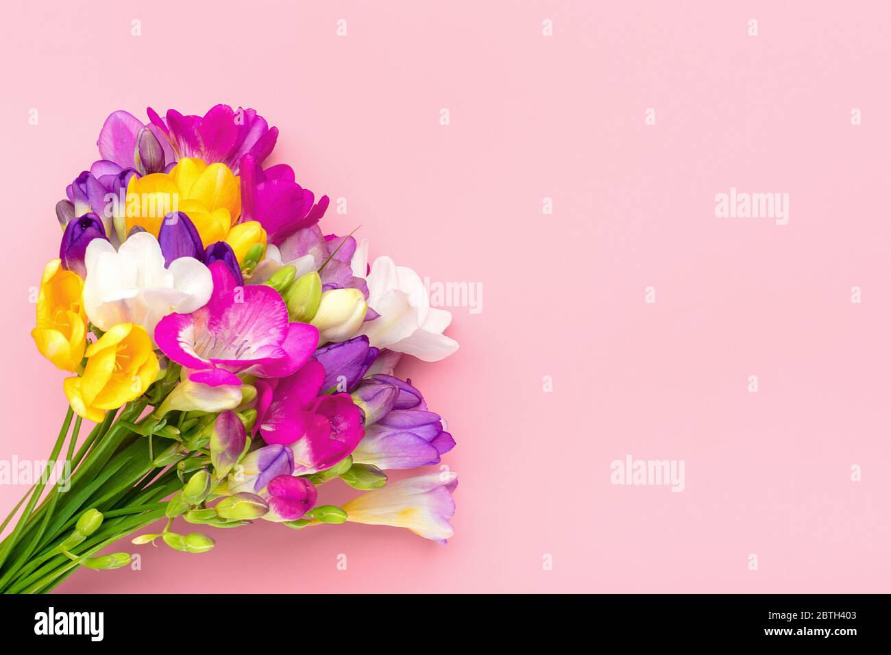 Bouquet of sprig freesia flowers isolated on pink background Floral holiday card Top view Flat lay Stock Photo