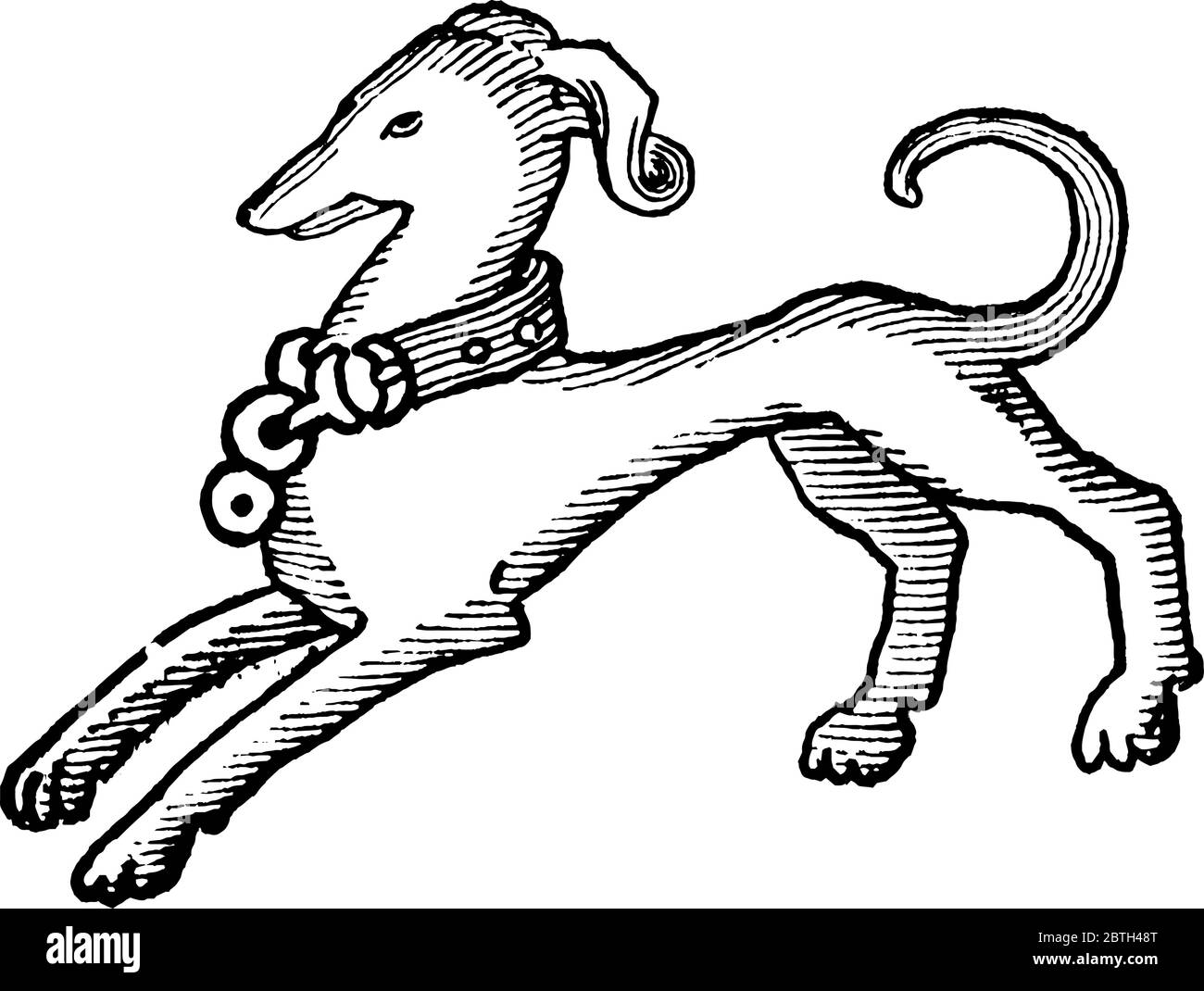 A typical representation of a dog, with a collar, Woodcut, vintage line drawing or engraving illustration. Stock Vector
