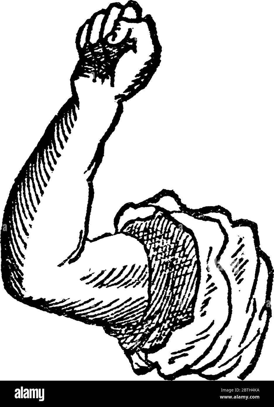 human hand arm open raised Stock Vector Image & Art - Alamy