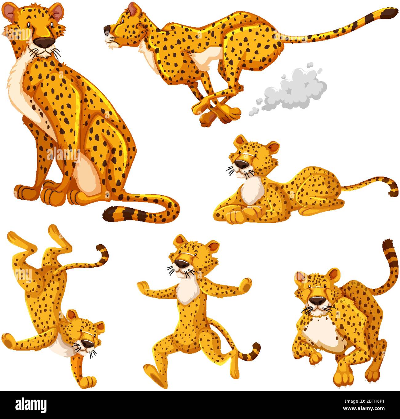 Set of cheetah cartoon character illustration Stock Vector Image & Art