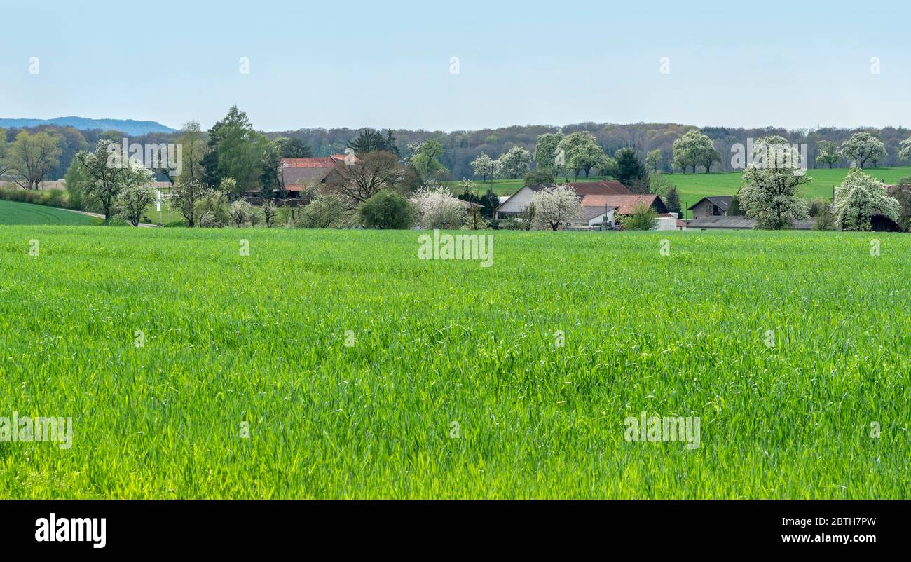 idyllic small rural village in Southern Germany at spring time Stock Photo