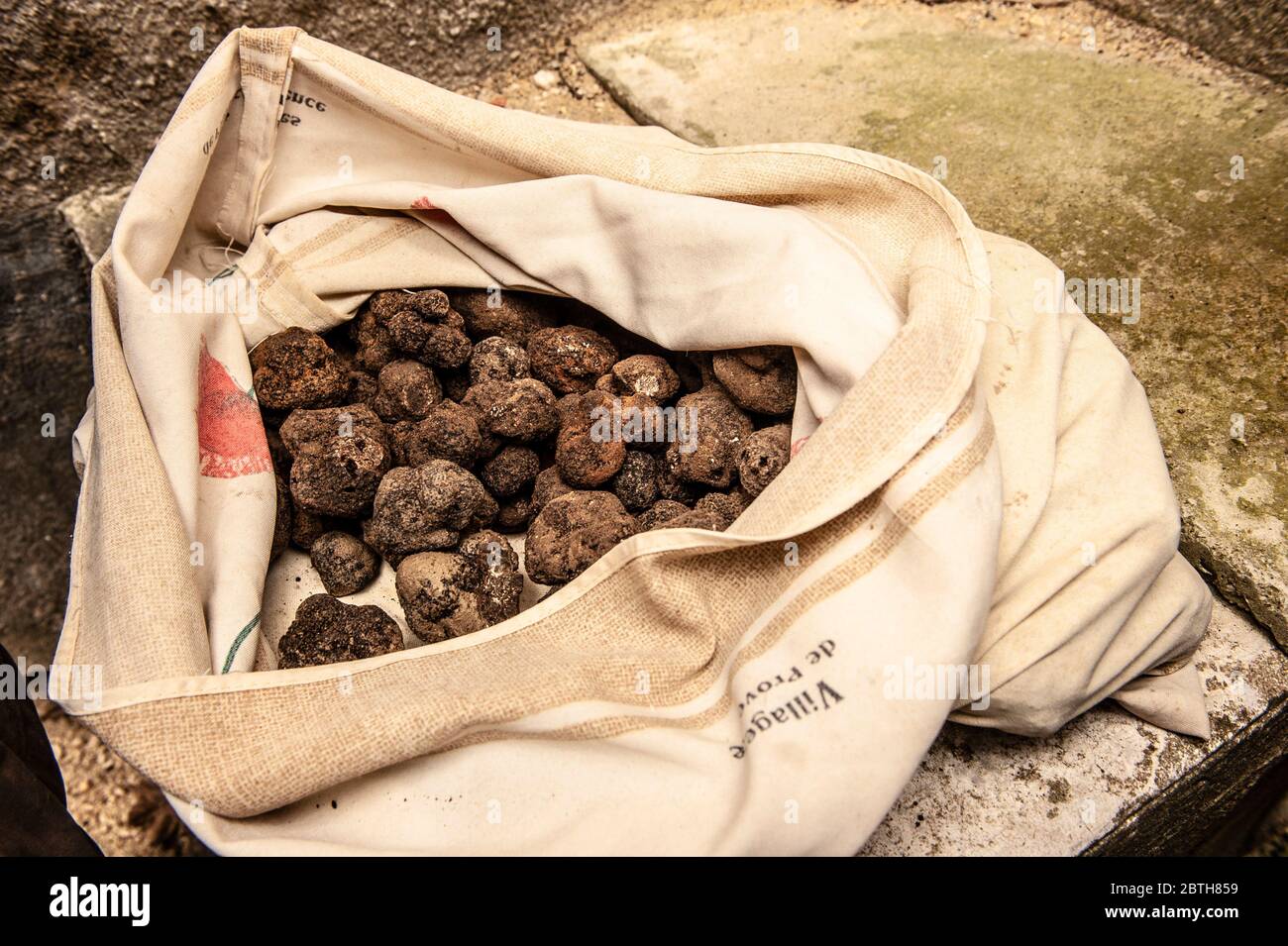 Black Tricastin truffles for sale at the truffle market of Saint-Paul-3-Châteaux in southern France Stock Photo