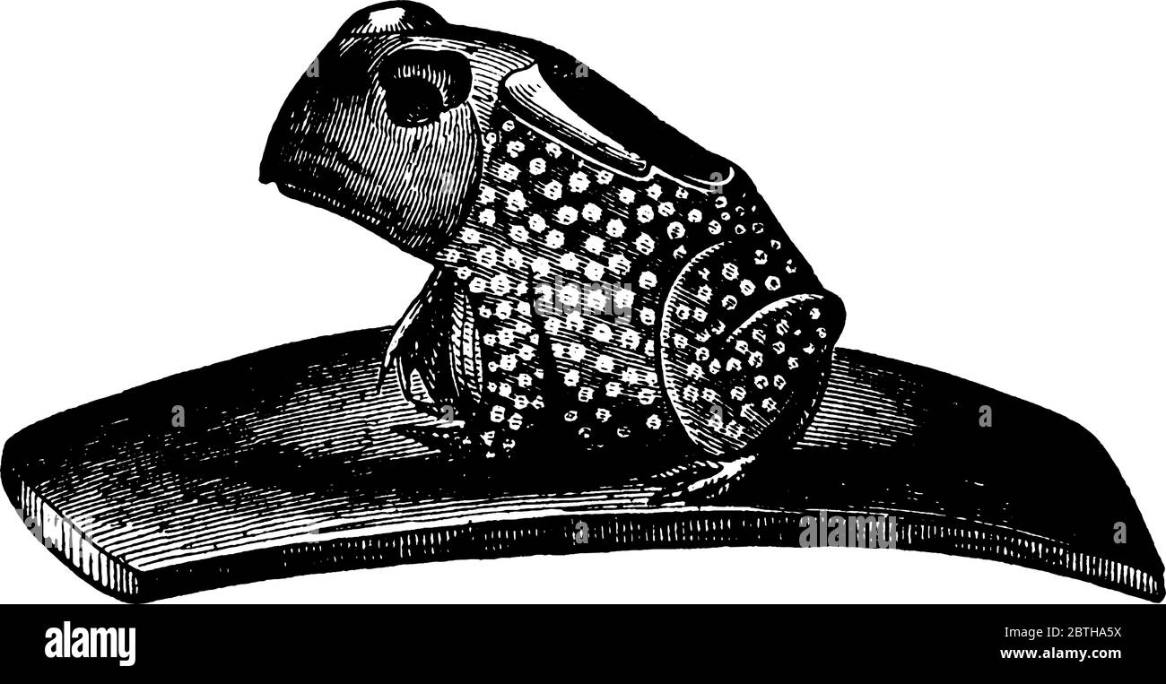 An Indian frog-shaped pipe which is used for smoking of cigarette (tobacco). A hole made on the back of the frog which holds the cigarettes, vintage l Stock Vector