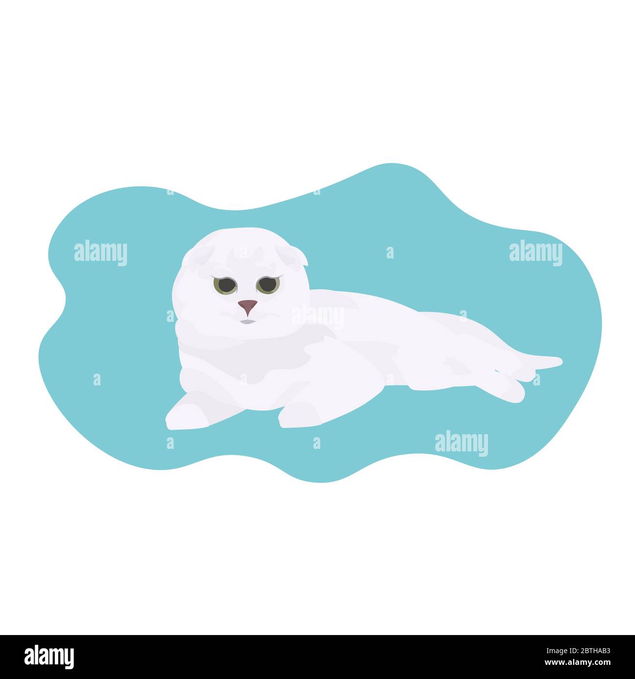 cute white cat sleeping home pet relaxing on floor vector illustration ...
