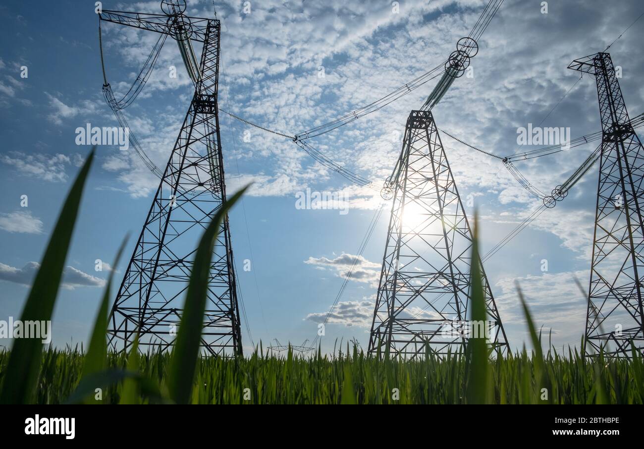 high voltage power line with green grass. green energy concept of high voltage  Stock Photo