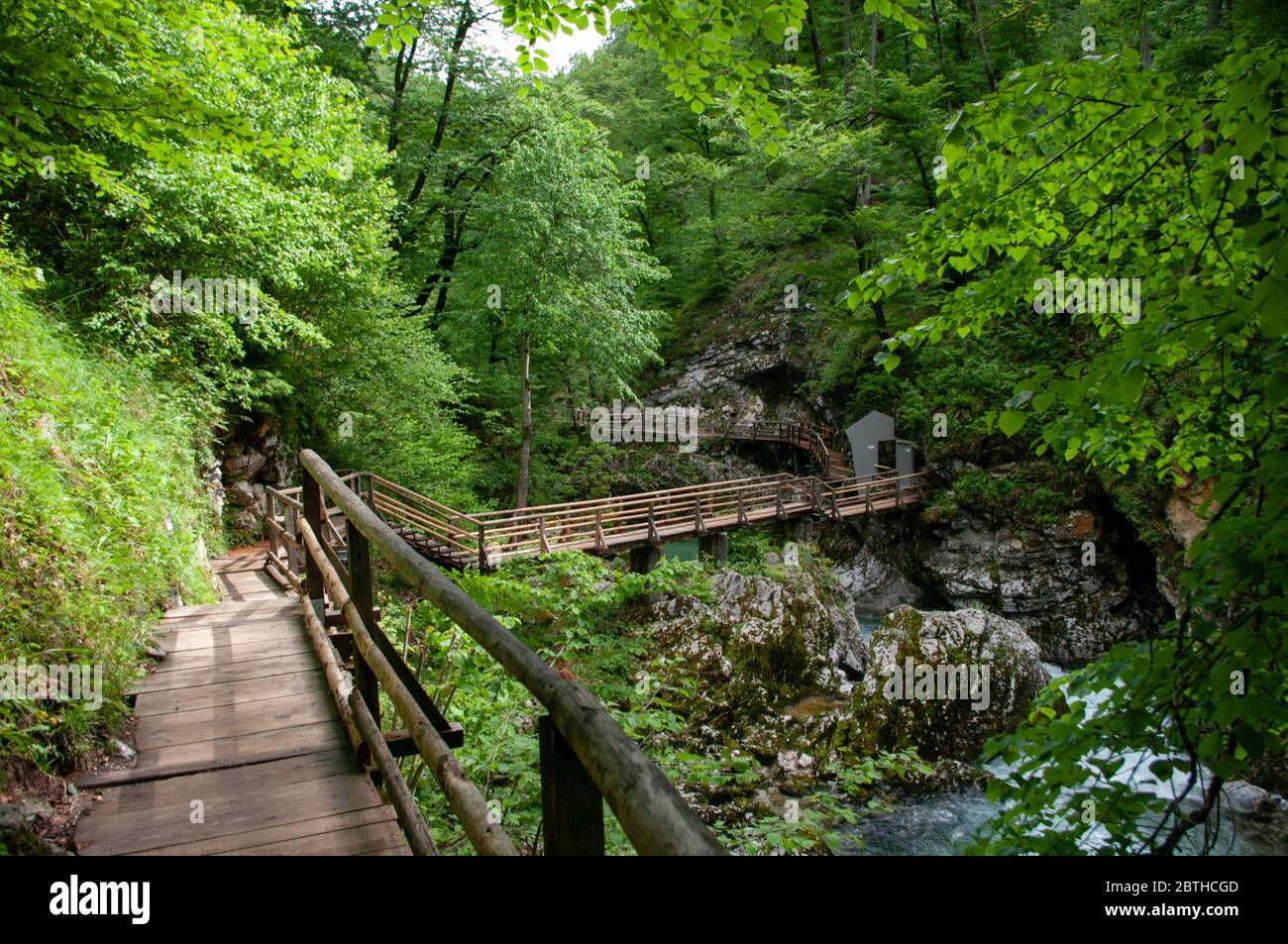 Vintgar gorge, beauty of nature, river Radovna through mountains,Bled, Slovenia. Trees and wooden bridges. Stock Photo