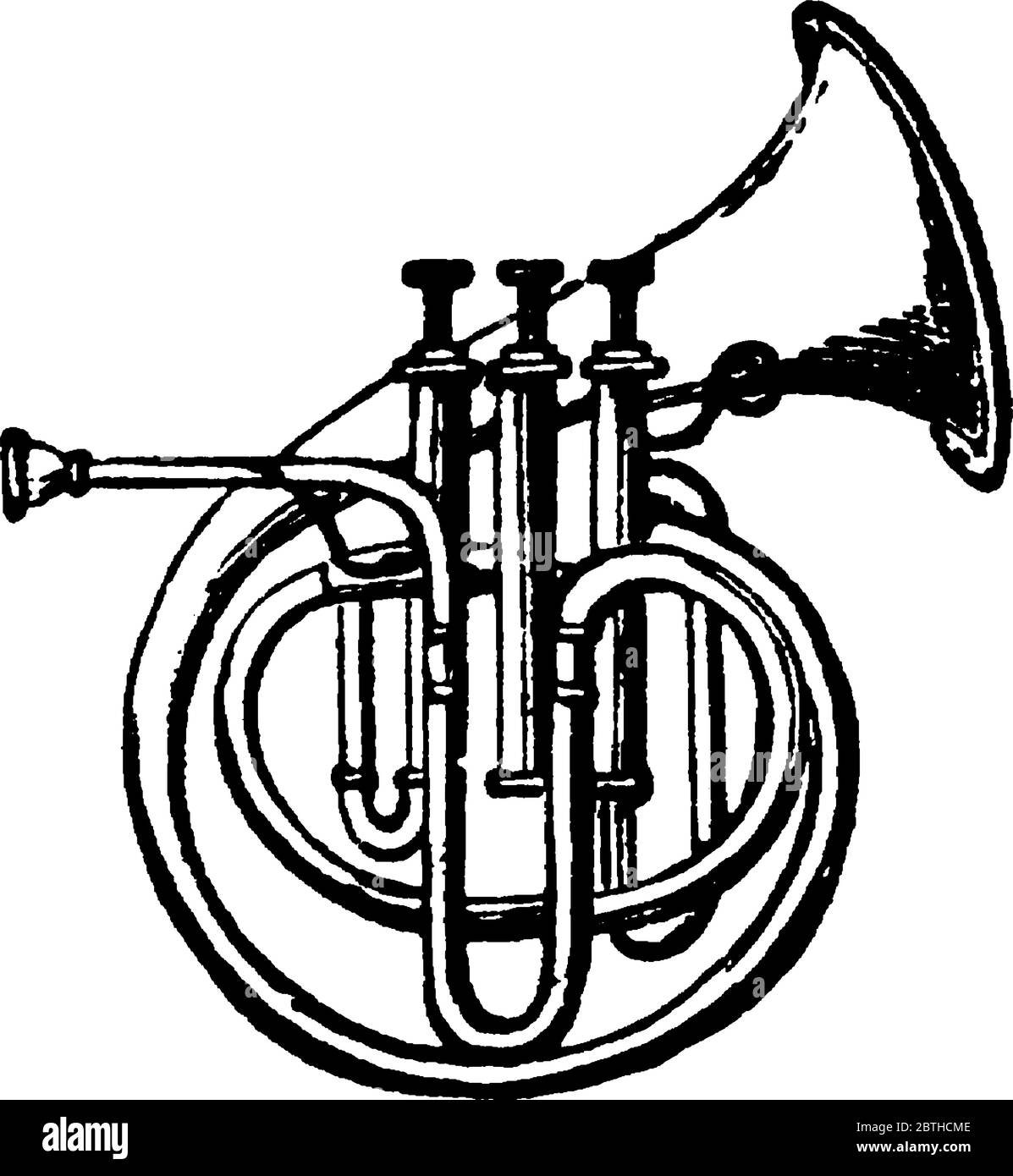 in circular shape, vintage line drawing or engraving