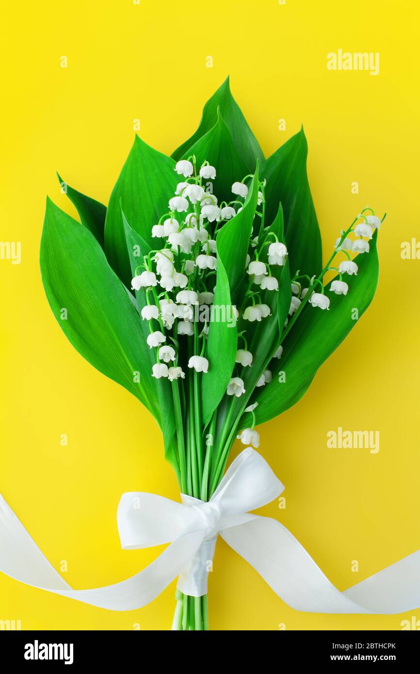 Lily Of The Valley Flower Bouquet White Bowknot On Yellow Background Closeup Beautiful May Lilies Bunch Green Leaves With Ribbon Convallaria Stock Photo Alamy