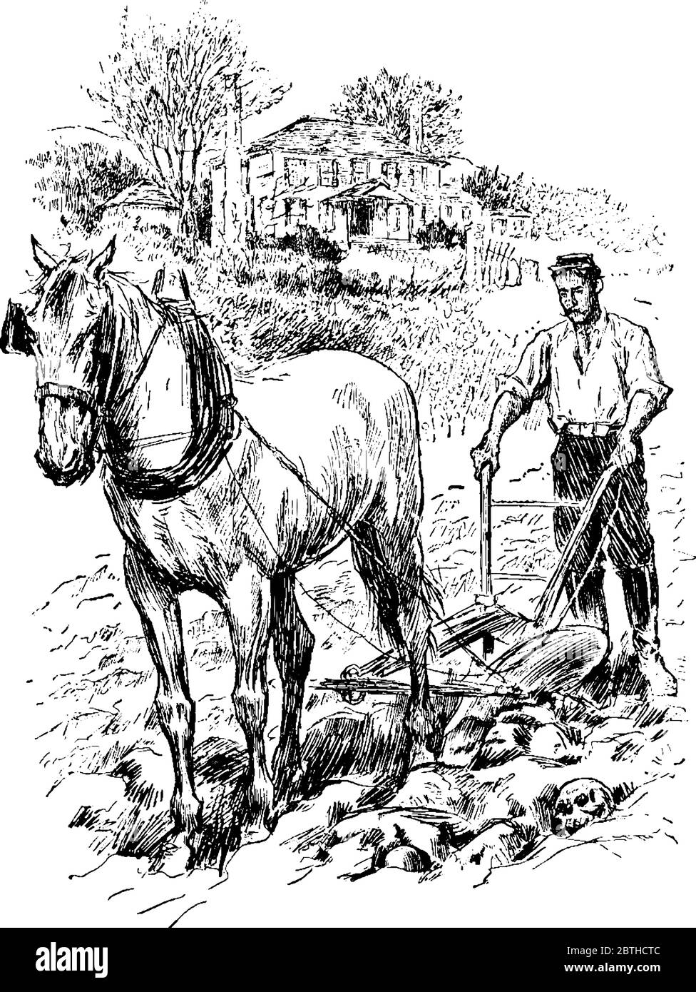 After Appomattox, an illustration of a man performing some agricultural activities, vintage line drawing or engraving illustration. Stock Vector