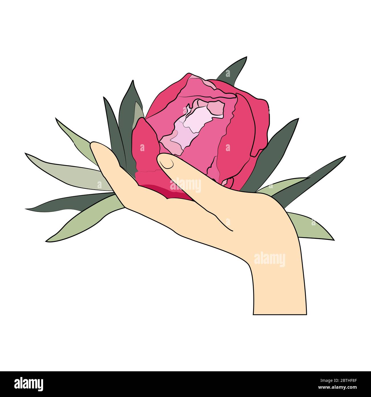 Pink peony flower in the hand stock vector illustration Stock Vector ...