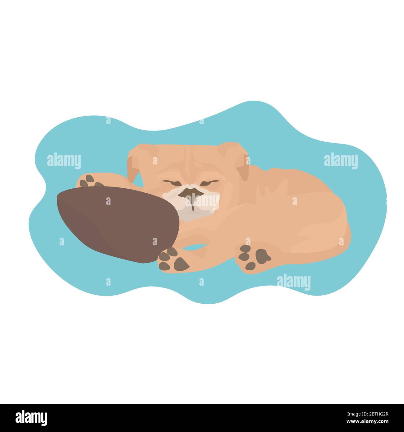 Cute puppy on the floor Stock Vector Images - Alamy