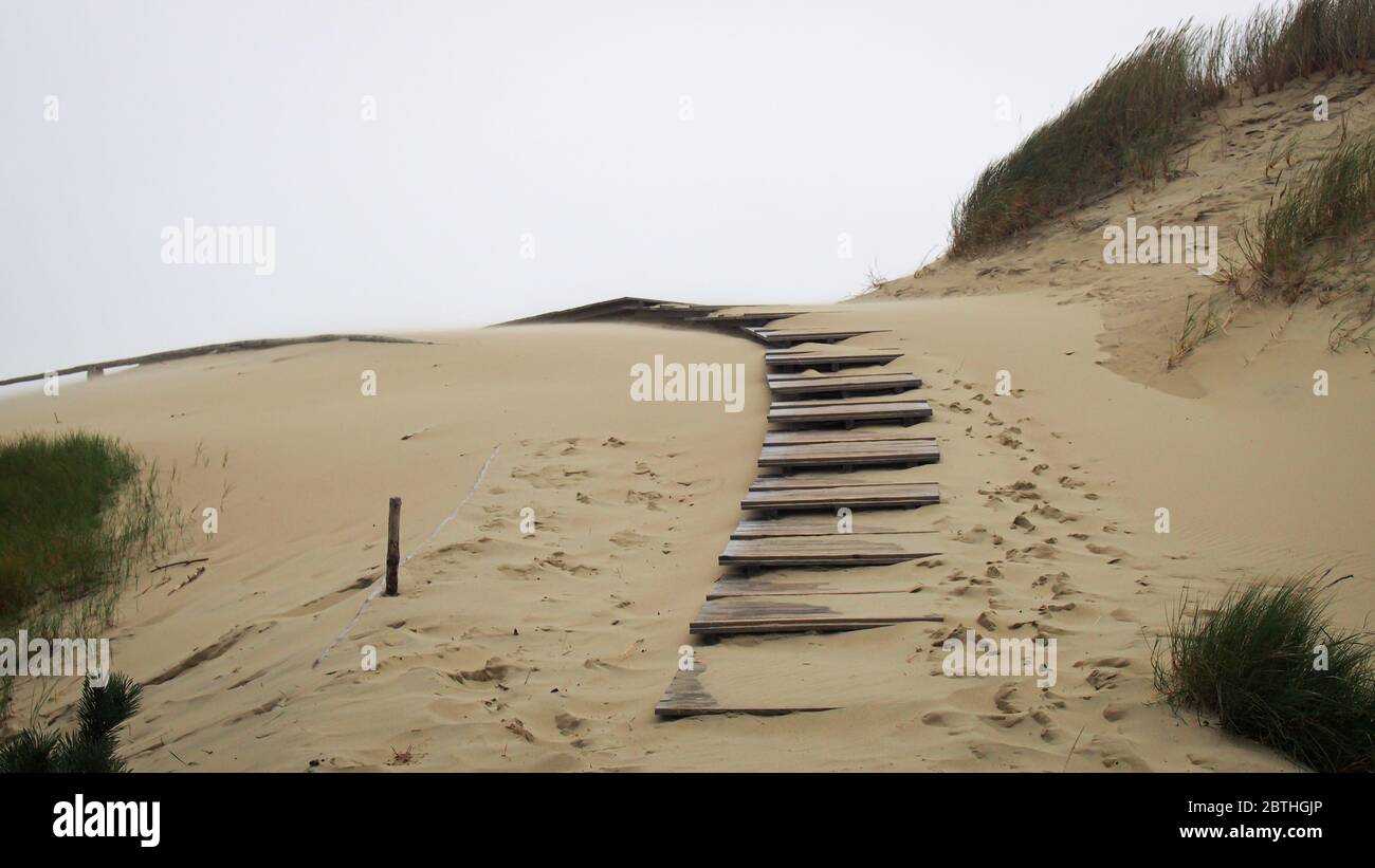 Wooden pathway at Curonian Spit sand dunes in Nida, Lithuania. Stock Photo