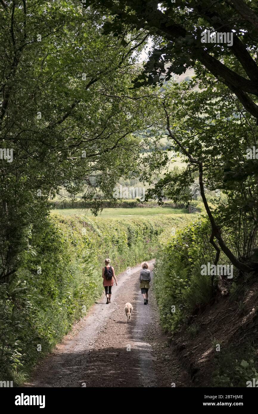 A mother and daughter (and their dog) keeping apart while walking along a quiet country lane, Shropshire, UK Stock Photo