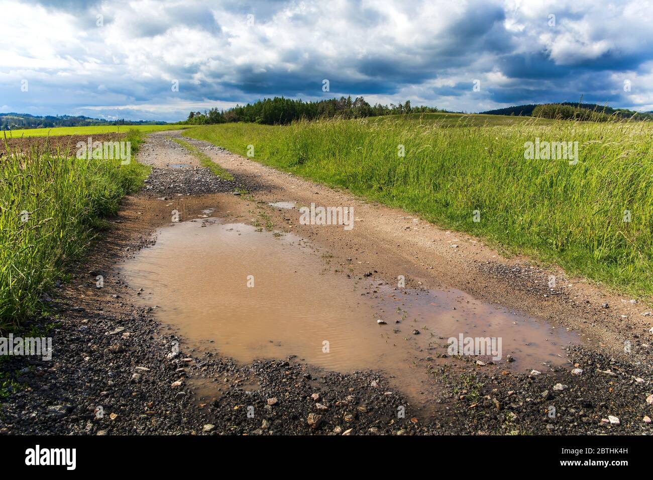 Dirt In Pool After Rain: Easy Fixes to Restore Crystal Clear Water