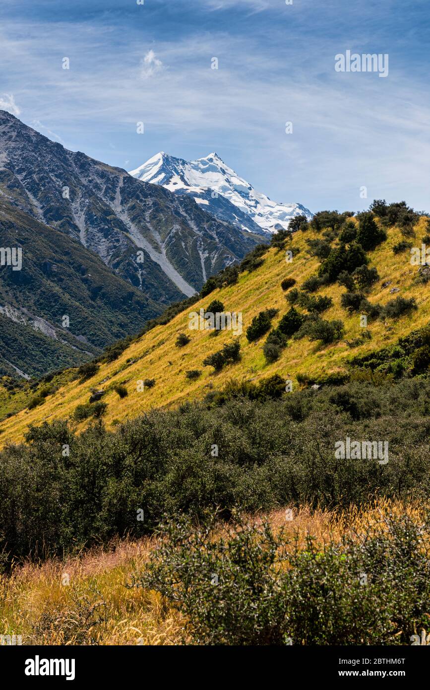 Mount Cook in the Aoraki Mount Cook National Park in Canterbury, New
