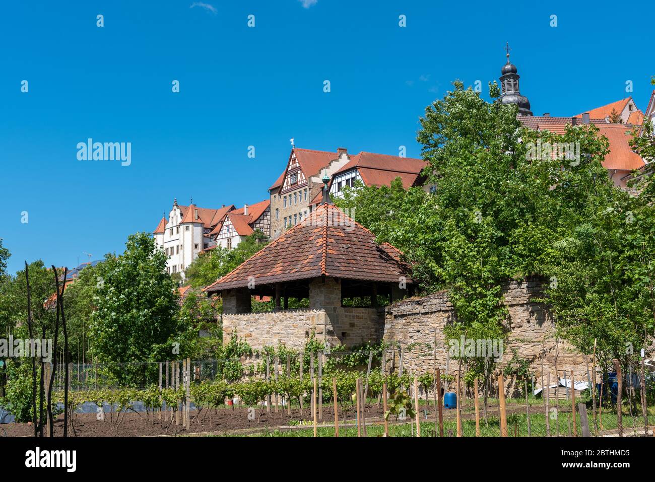 Cityscape with historic city wall, Graf-Eberstein-Castle and St Martin church, Gochsheim, Baden-Wurttemberg, Germany, Europe Stock Photo