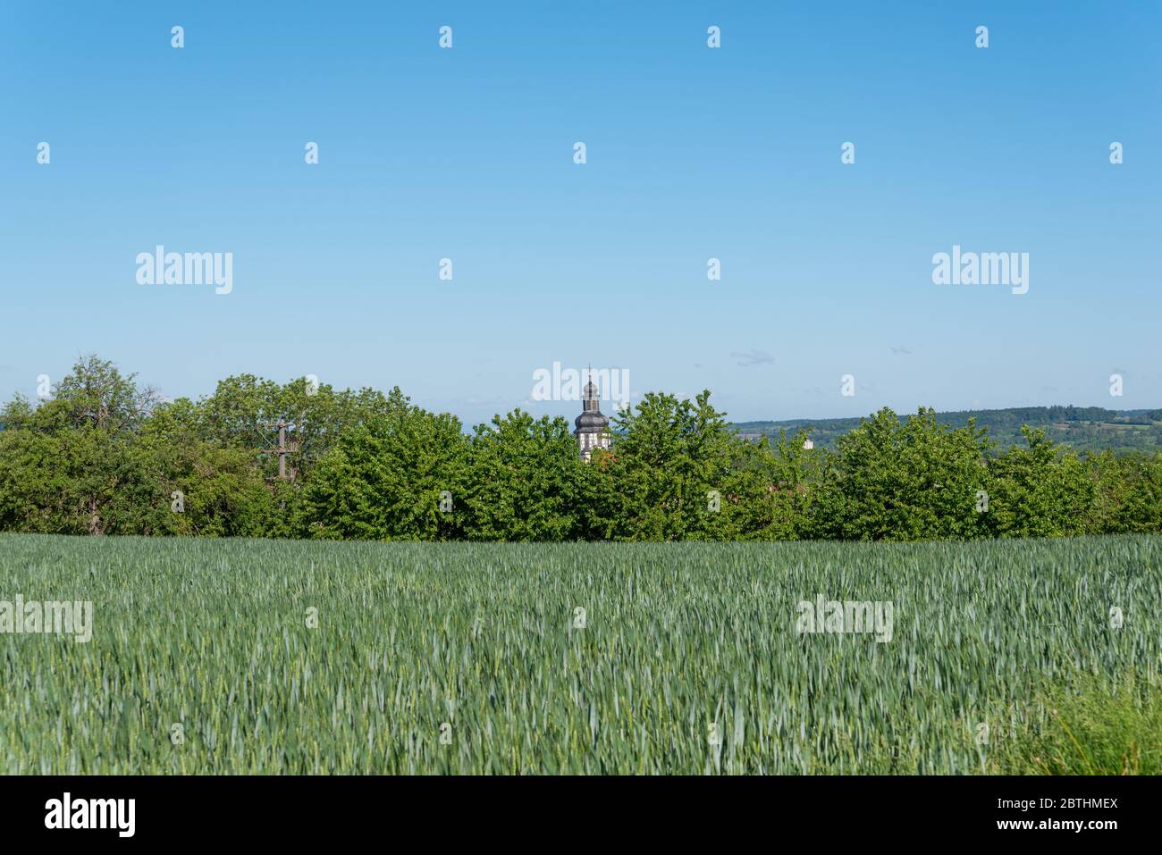 Grain field with half-timbered tower of the St Martin church in background, Gochsheim, Baden-Wurttemberg, Germany, Europe Stock Photo