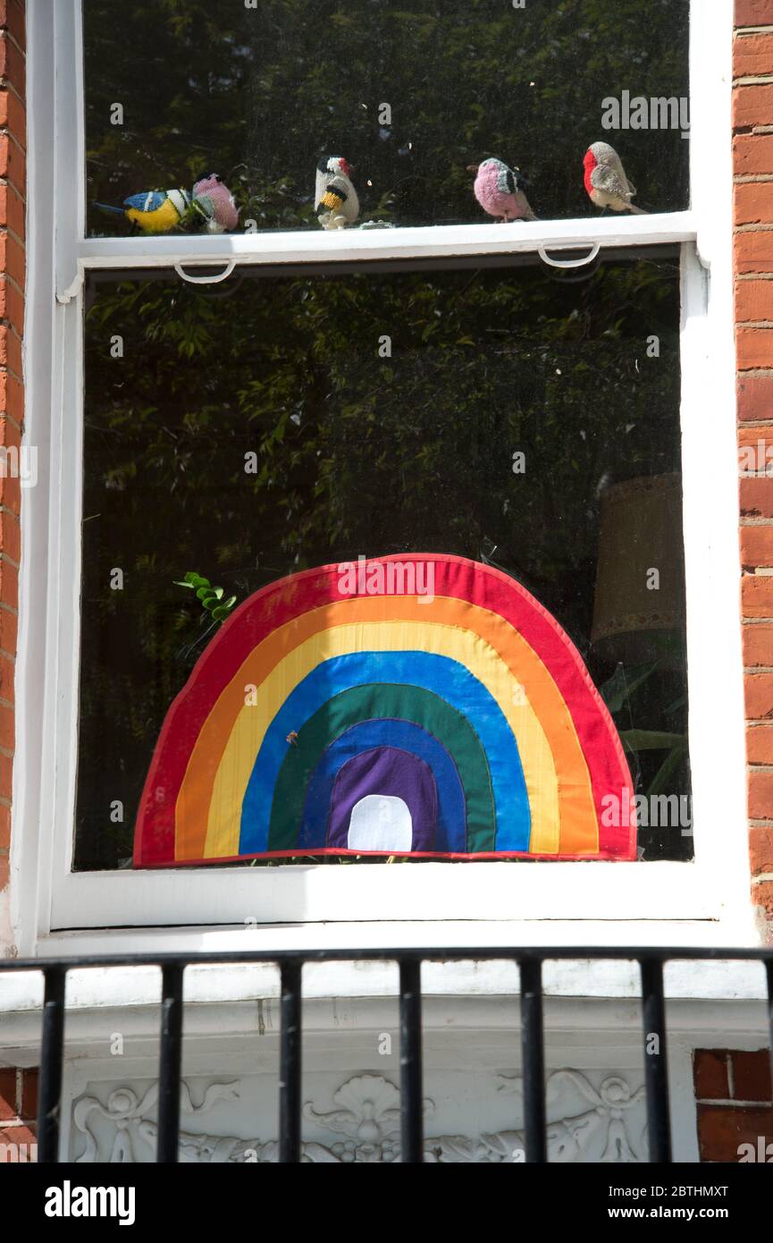 London May 2020 The Covid-19 pandemic. Parkholme Road. Rainbow in a window in support of NHS with knitted toy birds. Stock Photo