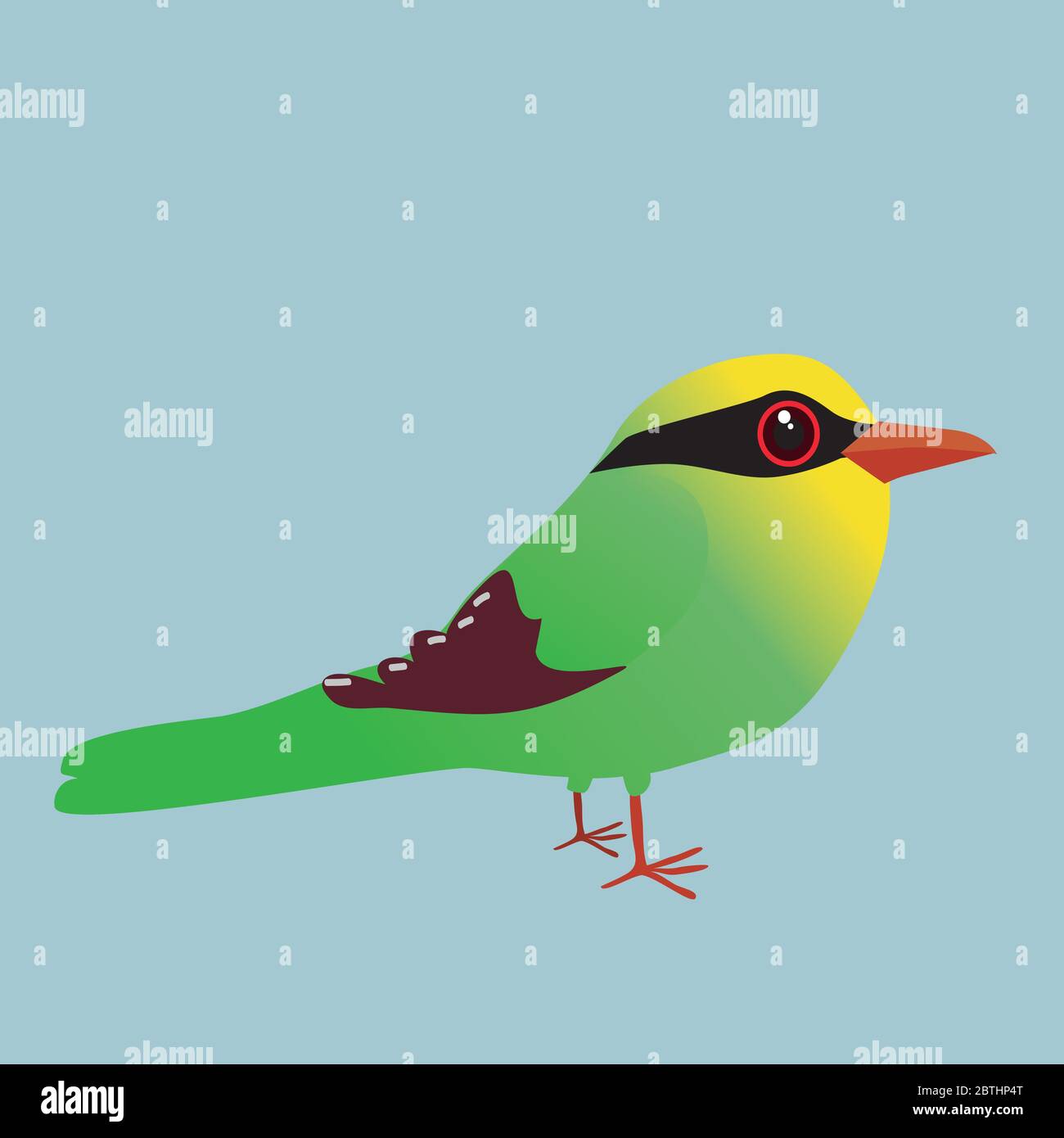 A cute illustration of a Common green magpie. Cartoon style Stock Vector