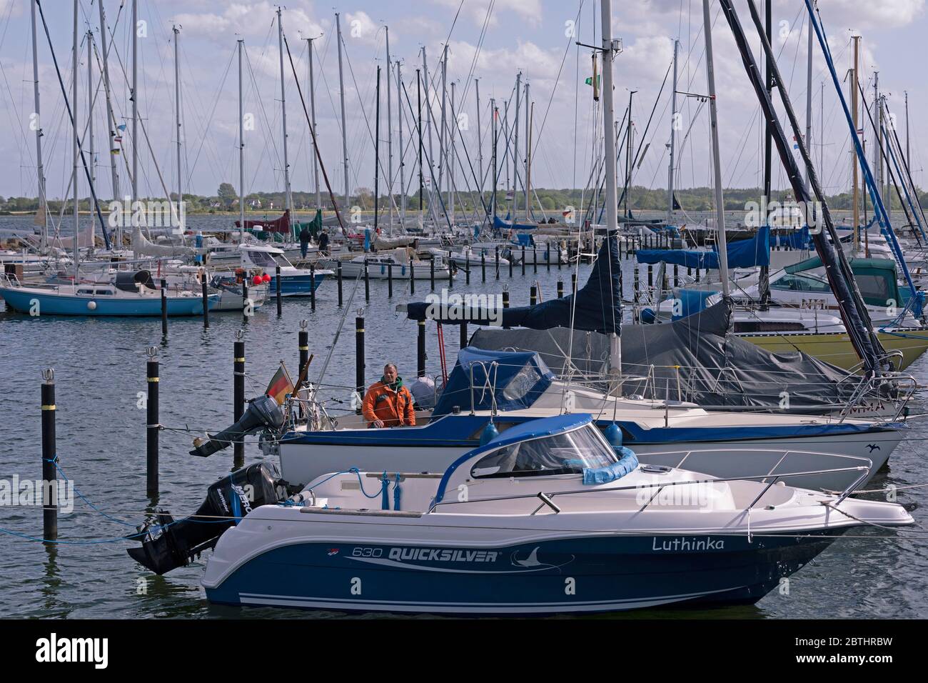 marina, Maasholm, Baltic Sea Fiord Schlei, Schleswig-Holstein, Germany Stock Photo