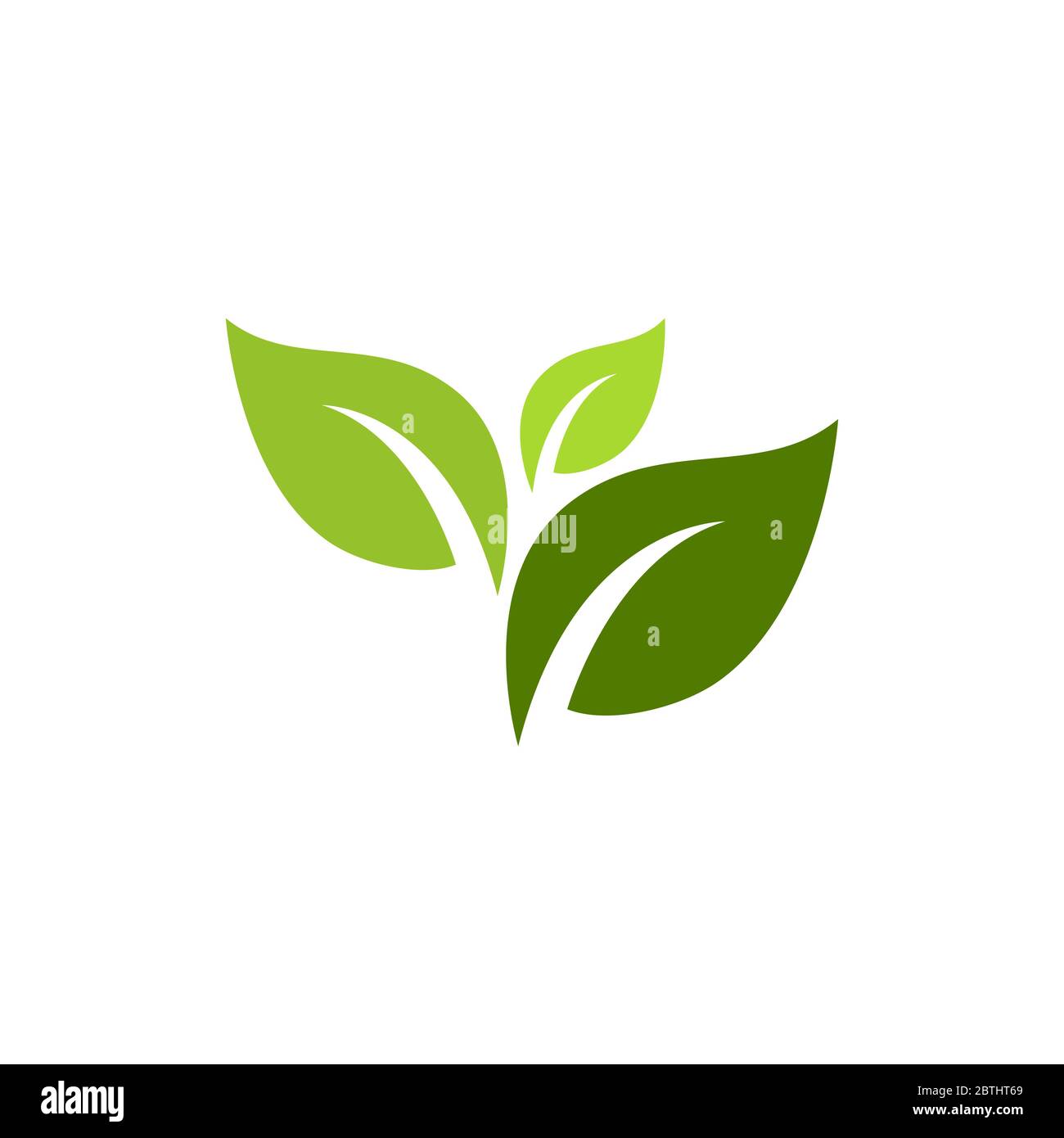 Logos of green Tree leaf ecology nature element vector Stock Vector ...