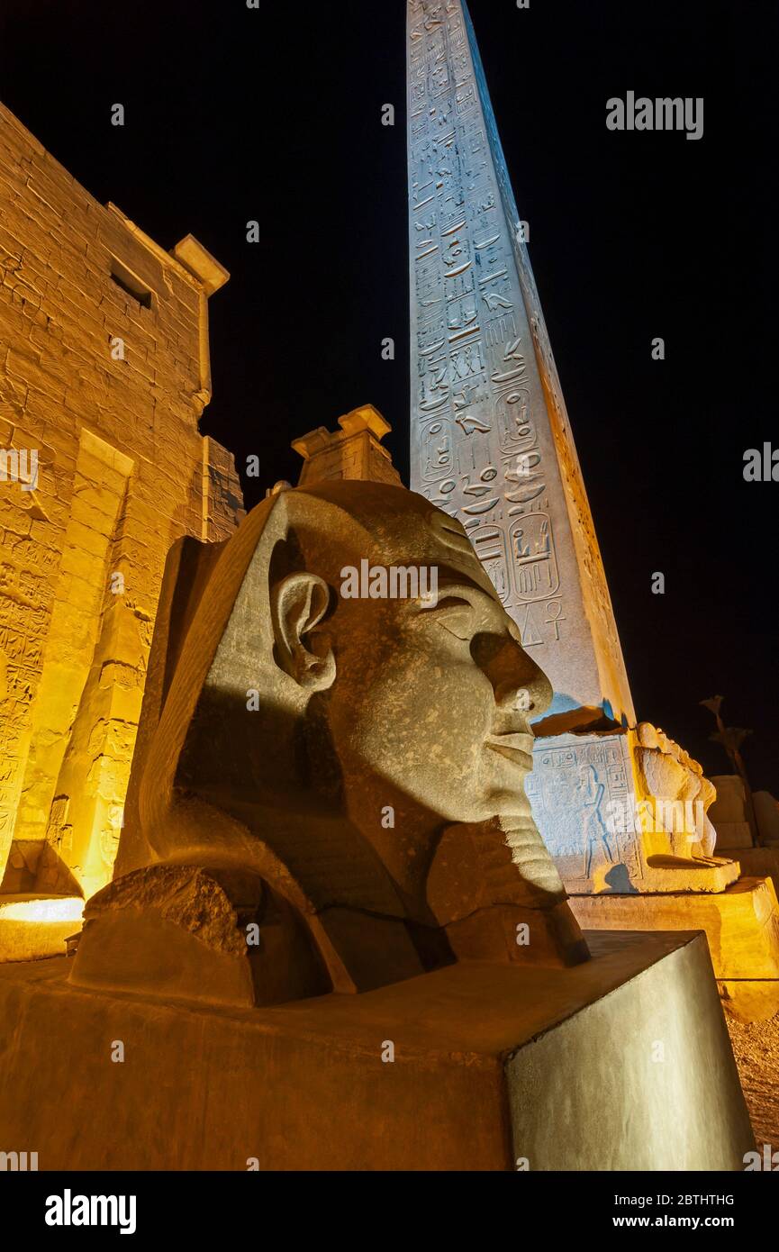 Large statue head of Ramses II pharaoh during night at the ancient ...