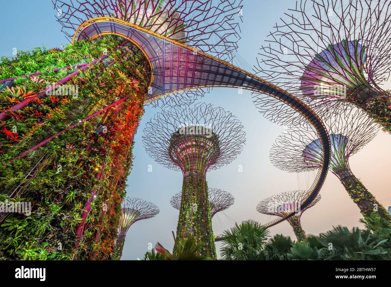 SINGAPORE - SEPTEMBER 5, 2015: Supertrees at Gardens by the Bay. The tree-like structures are fitted with environmental technologies that mimic the ec Stock Photo