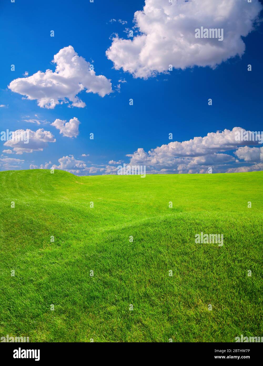 Green grass field on small hills and blue sky with clouds Stock Photo ...