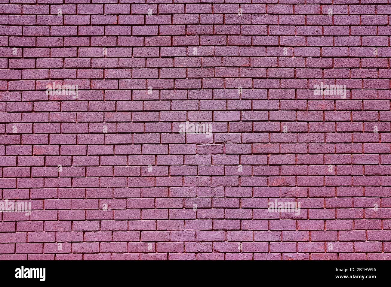 Purple painted brick wall Stock Photo