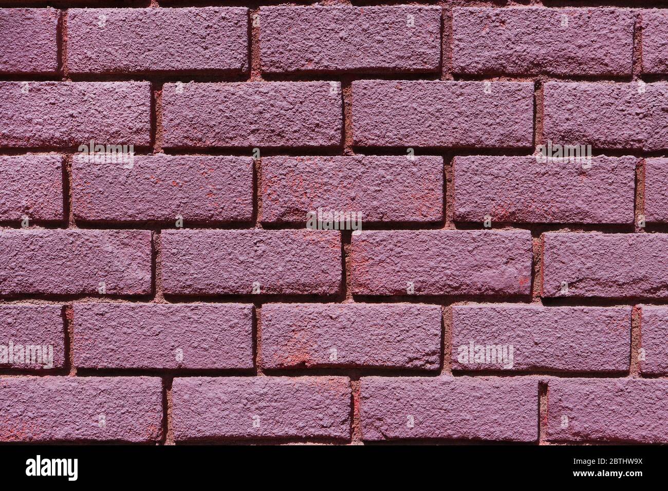 Purple painted brick wall Stock Photo