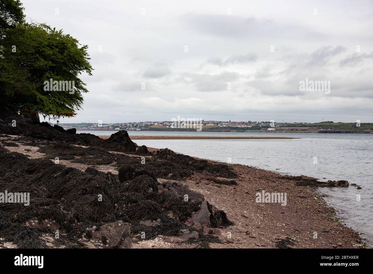 Milford Haven from Pwllchrochan Flats Stock Photo Alamy