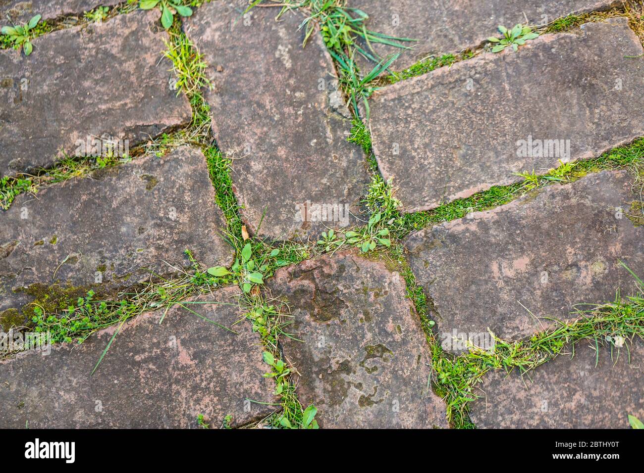 Stone tiles footpath green grass hires stock photography and images